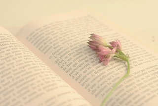 フランス語が書かれた本の上に花が置いてある写真